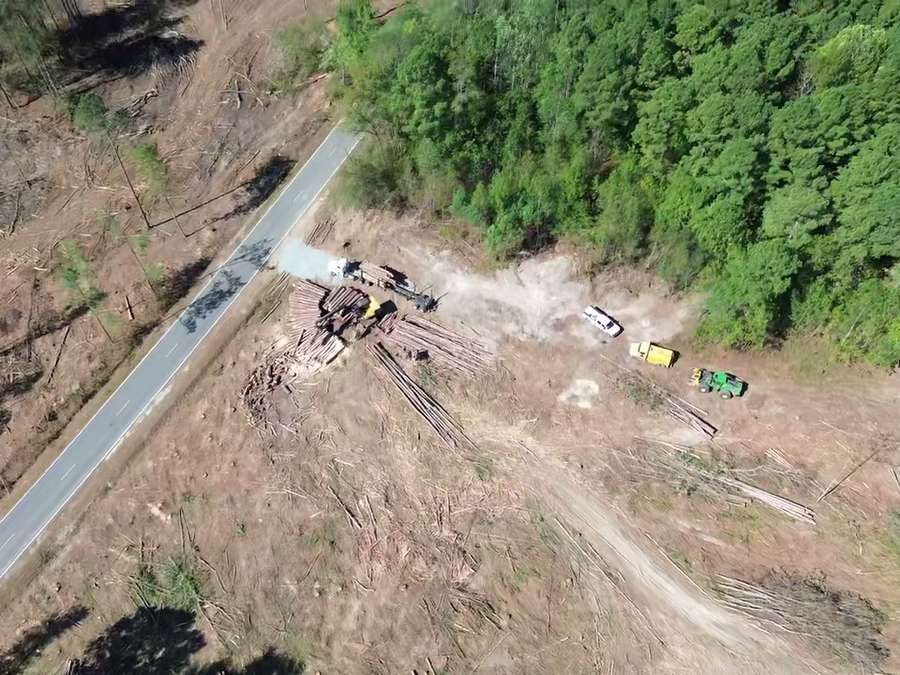 Land Clearing