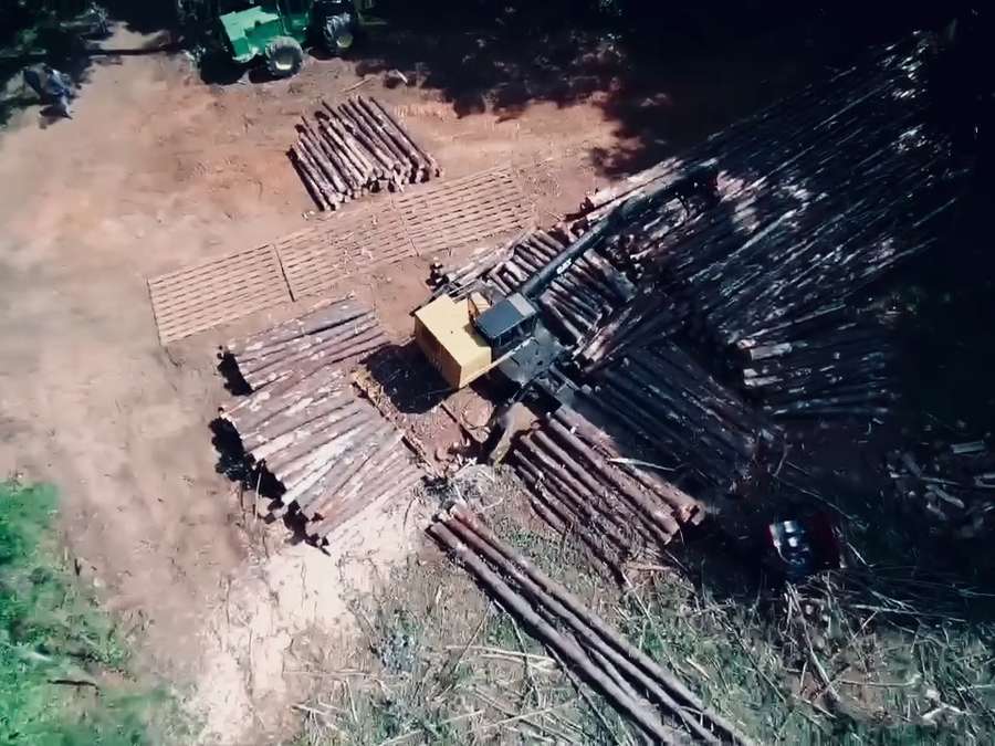 Aerial view of log decks at a landing